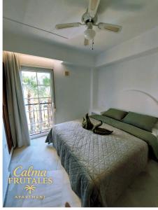 Calma FRUTALES Apartment