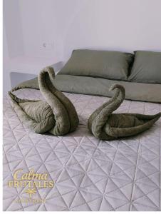 Calma FRUTALES Apartment