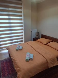 Apartman Banja Koviljaca I