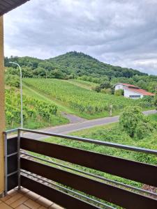 WEINBERGBLICK Wohnung im Haus FREY - 2BR ,Küche, 2 Bäder, 2 Balkone, Parkplatz direkt vor der Tür