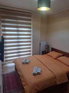 Apartman Banja Koviljaca I