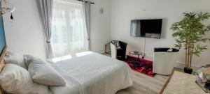 Appartements SAILIN - hyper-centre - T2 cosy et calme - REOUVERTURE aout 2025 apres renovation : Appartement 1 Chambre