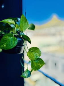 Luxury Apartments - Sea Point, Cape Town