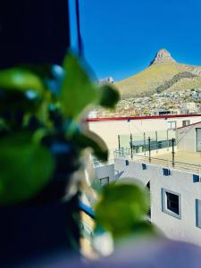 Luxury Apartments - Sea Point, Cape Town