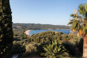 MUSES CHALKIDIKI #Skgbnb