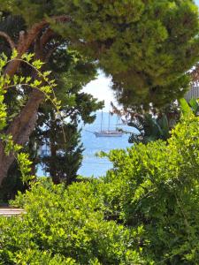 Chris House Mondello