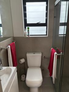 Studio Apartment in Cape Town