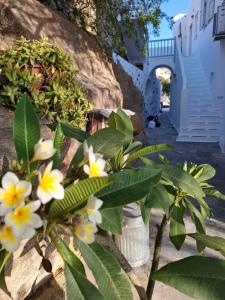 Gazia Sea View House - Mykonos Town