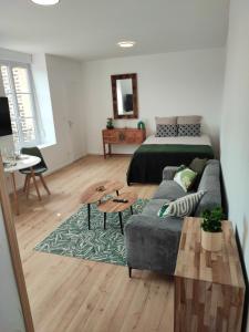 Appartements CMG Studio 202 XL Petit Bois Place Ducale : Appartement 1 Chambre
