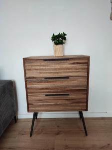 CMG Studio XL 202 Petit Bois Place Ducale