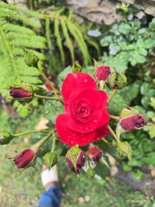 Shanti People Huts And Cafe