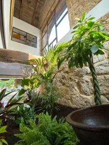 B&B / Chambres d'hotes La Grange de Magdeleine : photos des chambres
