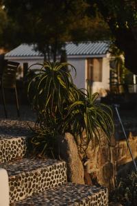 Sea You Soon & Spa 1