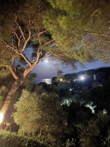 Appartamento in Villa a Pinamare