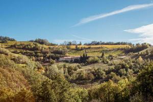 Borgo Isolabella - Wine & Vermouth Relais