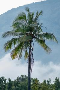 Seethavanam Farmstay at Forest Edge
