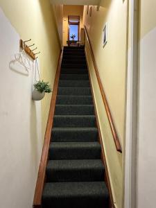 Cosy central 1 bedroom flat near city centre & station