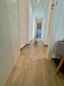 DJcumar Apartamento en Cullera comodo y bien ubicado