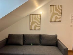 Appartements Le studio remois - Cocon en champagne en centre ville : photos des chambres