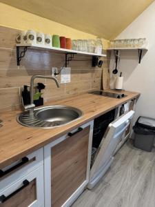 Apartmán u Ještěrky s finskou saunou v ceně