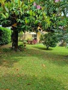 Il nido di Irene e Sofia