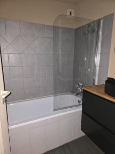 Appartements Bright apartment in the historic heart of Nimes : photos des chambres