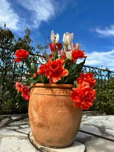 Villas Bastide de Bigarel : photos des chambres