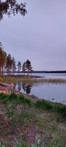 Villa Iltaranta - Cottage on the shore of Lake Saimaaa