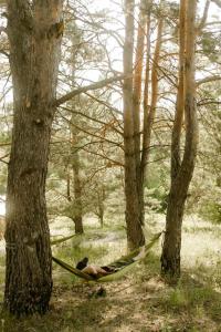 Глемпінг Botan