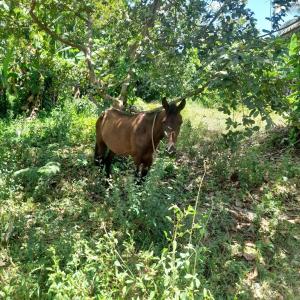La maison des couleurs