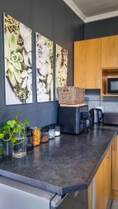 Willow - Cottage - Karoo