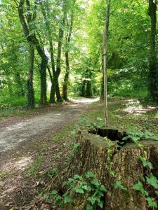 Noclegi u Eichendorffa