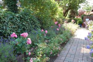 Schoenes-Wohnen-am-Suedstrand-Fewo-1