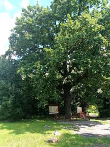 Noclegi u Eichendorffa