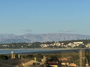 Alex Apartment Suites