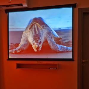 Modern 1BR Apartment with Kitchen, Balcony Sea View