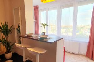 Ospitalier Studios Take Ionescu