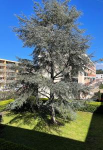Appartements Appartement Carnoux en Provence : photos des chambres