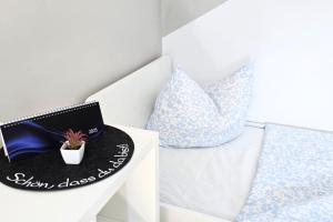 L21-Apartment Ottendorf-Okrilla, 1 Zimmer, 3 Betten, Standardisierte Ausstattung, ideal für Reisende, Pendler, Familien