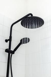 Prague Jungle Studio