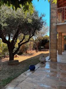 Maisons de vacances House with a view of Mont Ventoux Sauveterre : photos des chambres