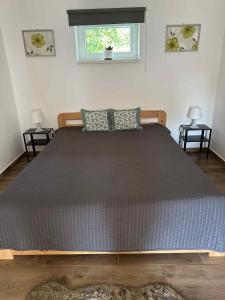 Tariczky Guesthouse
