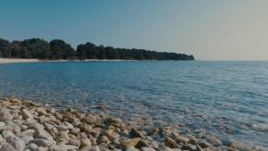 Villa Kalista Istriana for 10 people with private pool & sea view