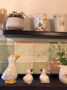 Anh bán gấu - Jellycat & Homestay