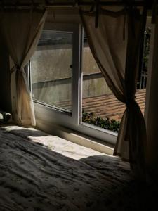 Anh bán gấu - Jellycat & Homestay