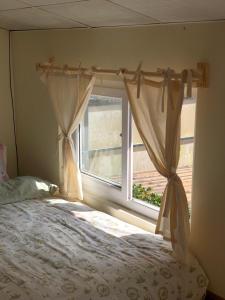 Anh bán gấu - Jellycat & Homestay