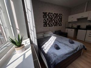 Aparthotel - KrakHouse