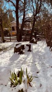 La cabaña del botánico