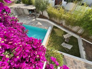 Maisons de vacances Villa solea, piscine et Mediterranee : photos des chambres