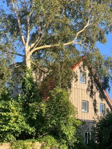 Beautiful vacation home with a view of the Baltic Sea